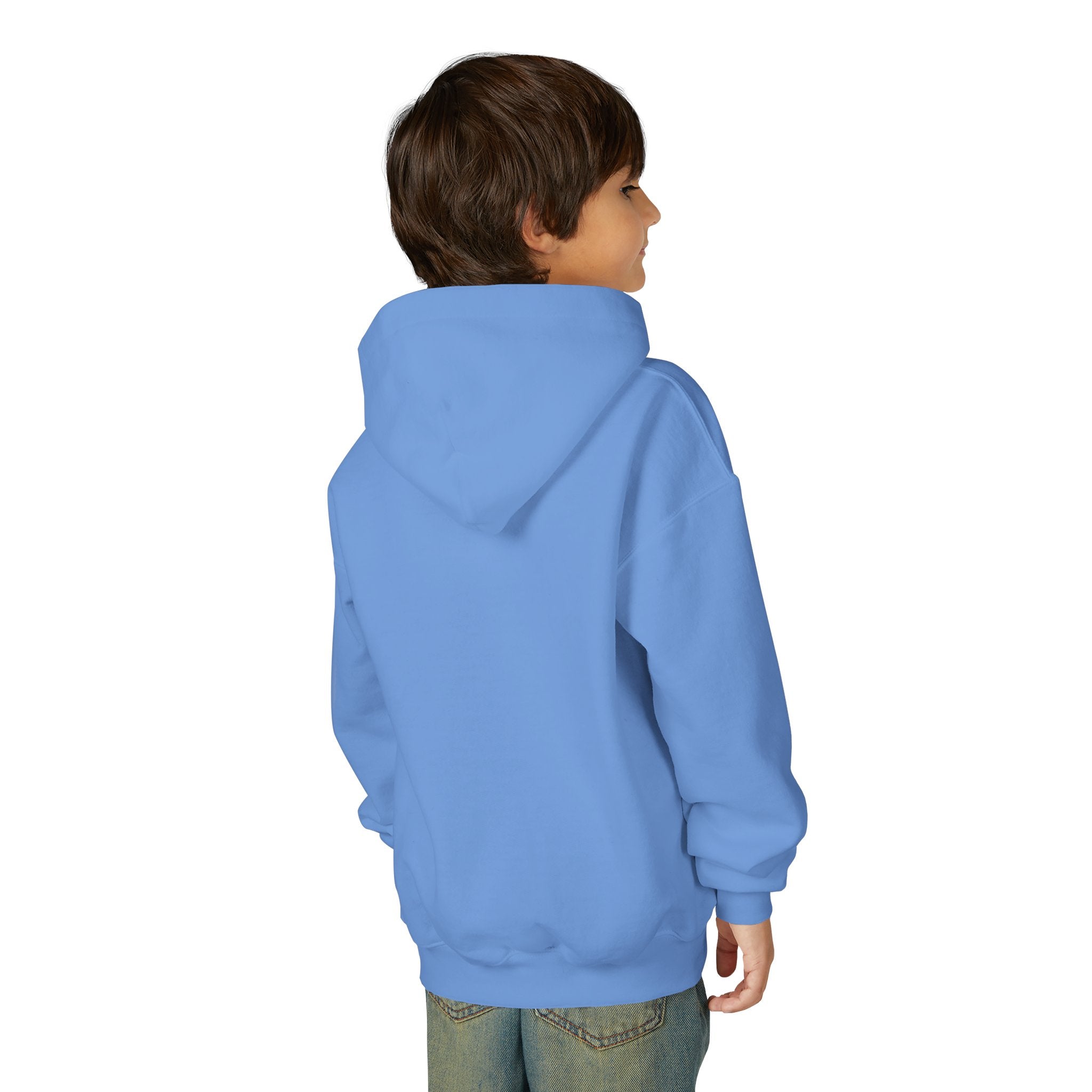 Youth Hoodie with Inspirational Quote, Ideal for Self-Expression, Gift for Teens, Birthday, Back to School, Everyday Wear